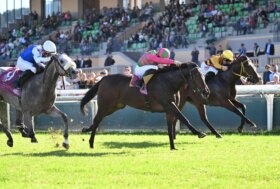 Weekend di corse all’Ippodromo Capannelle e già si respira aria di Derby