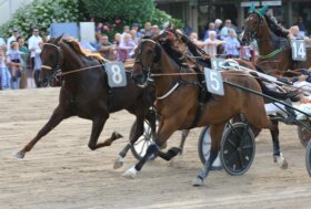 Arcoveggio – giovedì 17 ottobre otto corse e finale con Tris