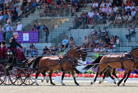 Campionato del mondo di Attacchi a Szilvásvárad (Hun)