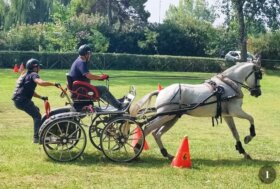 La nuova stagione di Sport Attacchi nel Centro-Sud