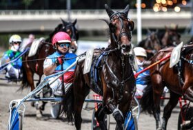 Ippodromo cesena trotto: presentazione delle corse di martedì 3 settembre