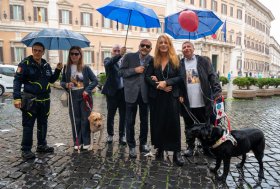 Cani guida e d’assistenza, on. Brambilla: “governo accoglie le mie proposte”