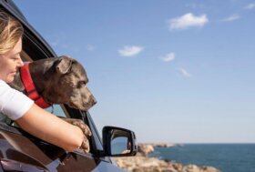 Quando la calma si porta in vacanza…