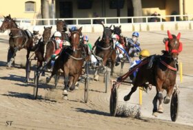 Ippodromo di Bologna – domenica 3 novembre corse gentlemen e tante attività per famiglie