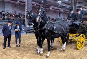 Il Gruppo Italiano Attacchi in Fieracavalli