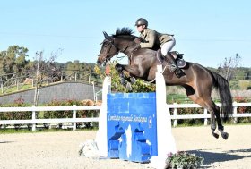 I fratelli Correddu in evidenza al Campionato regionale del cavallo nato e allevato in Sardegna