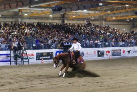 CremonaFiere, 15-17 novembre: Irha-Irhba-Nrha Reining Futurity & Ncha European Cutting Futurity 2024