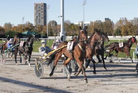 Sabato all’ippodromo Snai San Siro la tradizionale giornata di trotto in onore del patrono di Milano Sant’Ambrogio