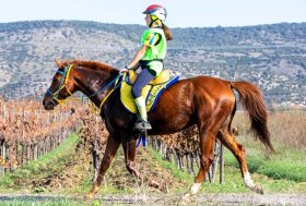 Endurance: a Genuri nella 5^ tappa della Coppa Sardegna, vittorie di Mallei, Delinna e Sanna