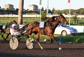 Gocciadoro Day all’Ippodromo Capannelle: Executive Ek vince il Gran Premio Triossi, a East Asia il Gran Premio Carena