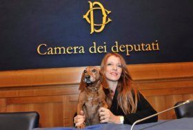 Camera approva pene più severe per reati contro gli animali, On. Brambilla: “UNA RIVOLUZIONE”