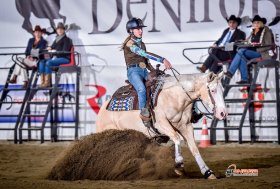 Reining, Saggio delle Scuole: vittoria per il CB Cascina Bianca