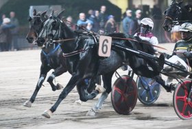 Arcoveggio: domenica 22 dicembre le Finali dei Trofei per Gentlemen