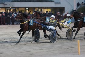 Inizio dell’anno all’ippodromo di Bologna con sette corse ed un programma di sicuro interesse