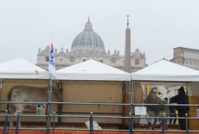 Il 17 gennaio a Roma e in Vaticano la XVIII “Giornata dell’Allevatore” in onore di Sant’Antonio Abate