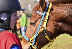 Pony Endurance: 35 giovanissimi a Porto Torres per la 1^ tappa del Campionato Regionale