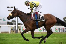 Tutto pronto per il Derby Day: la “divina” Klaynn sfida i maschi nel 142° Derby Italiano di Galoppo