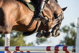 Simonetti vittorioso nel GP di Wiesbaden