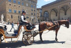 Attacchi: Veicoli a trazione animale e Codice della Strada